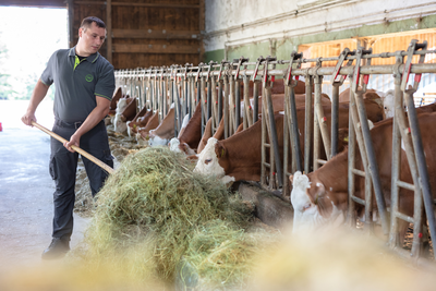 Maschinenring Tuttlingen Stockach Betriebshilfe